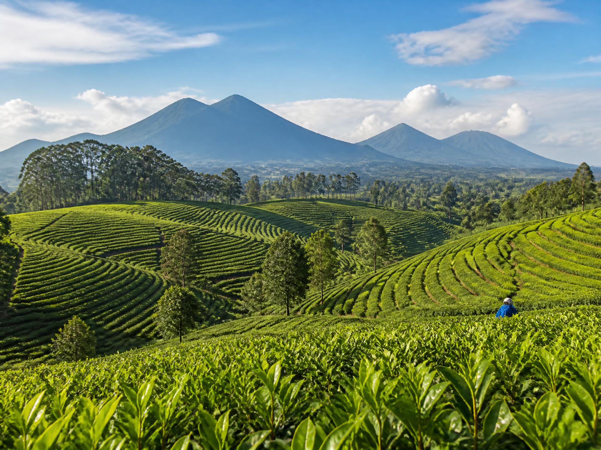 Rwanda