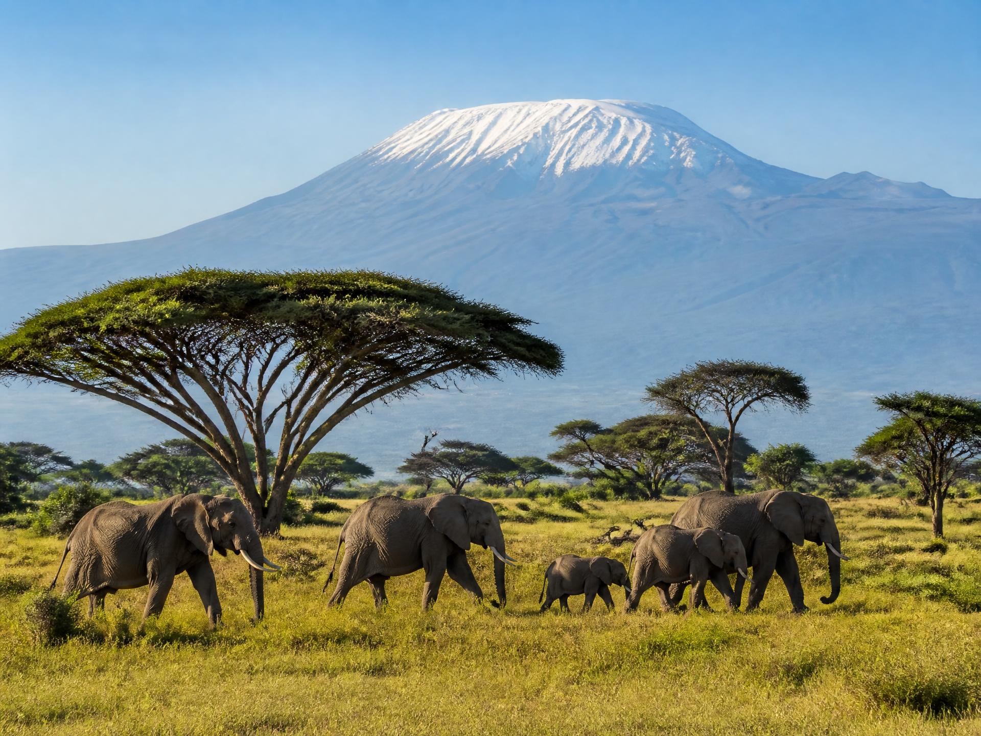 Tanzania