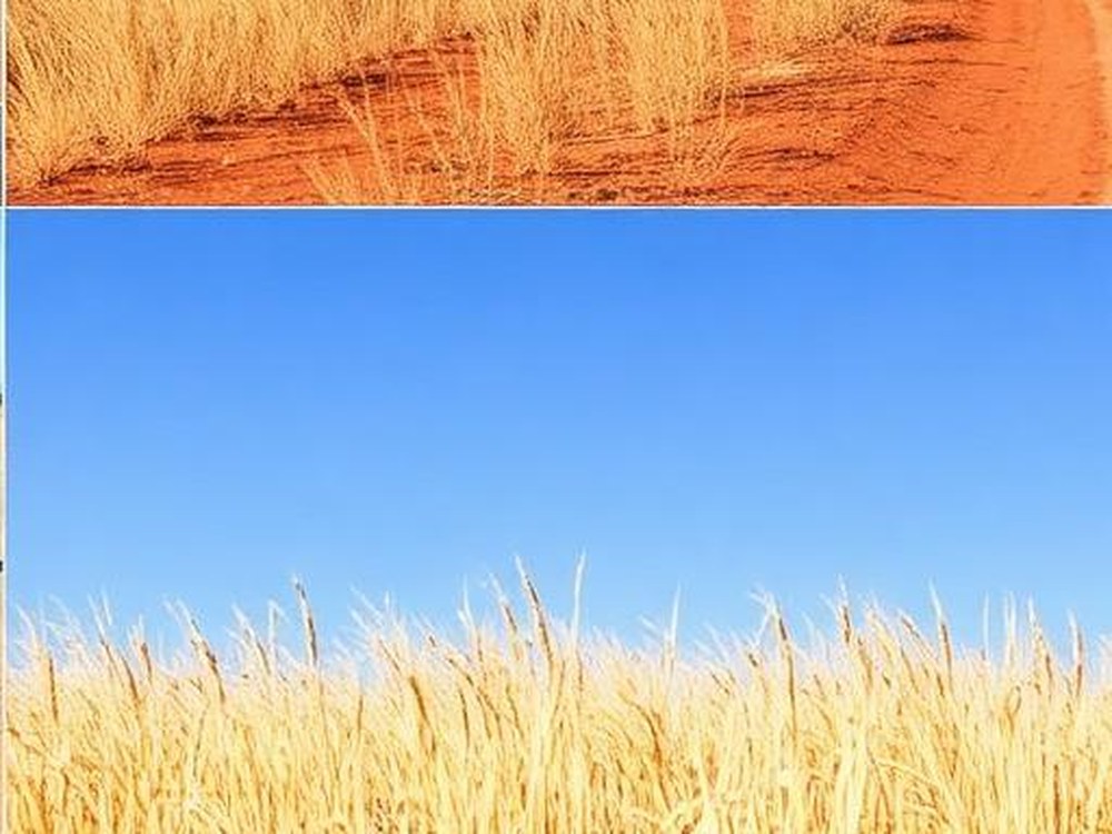 Central Kalahari