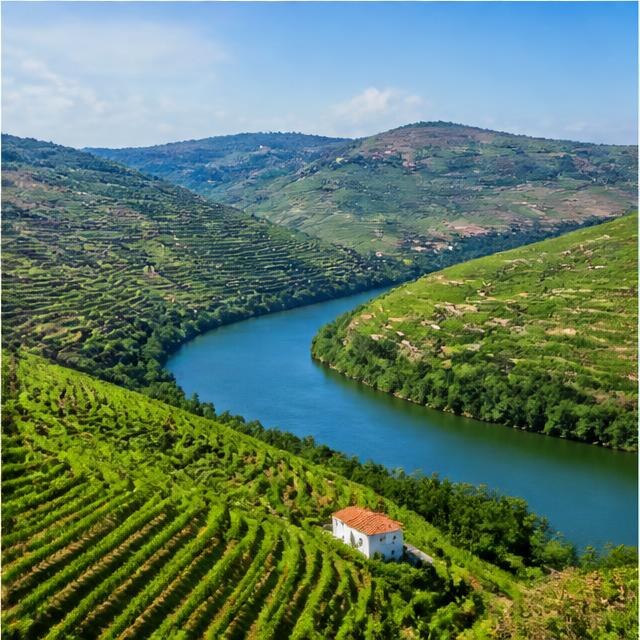 Douro Valley
