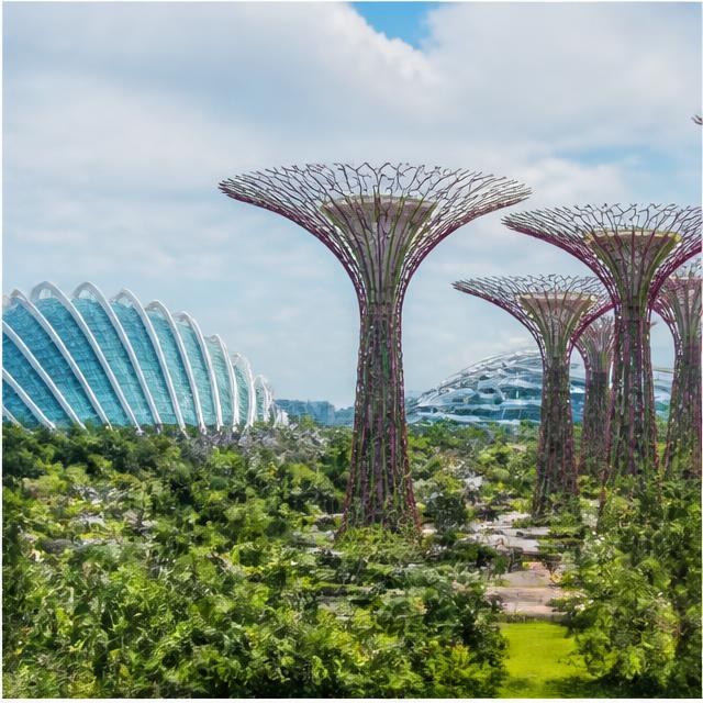 Gardens by the Bay
