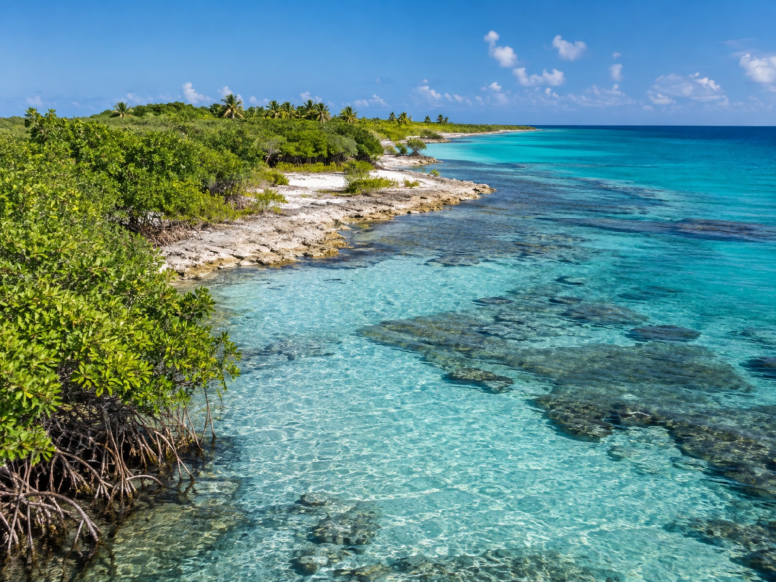 Little Cayman