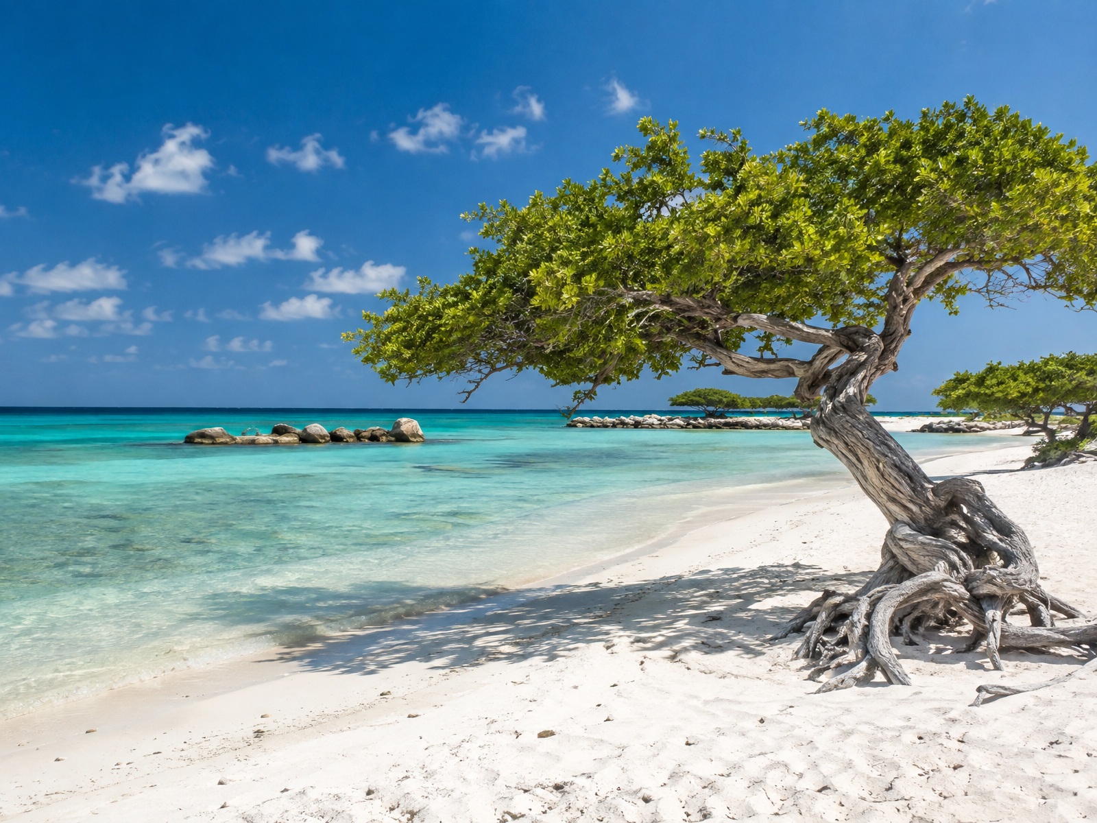 Palm Beach