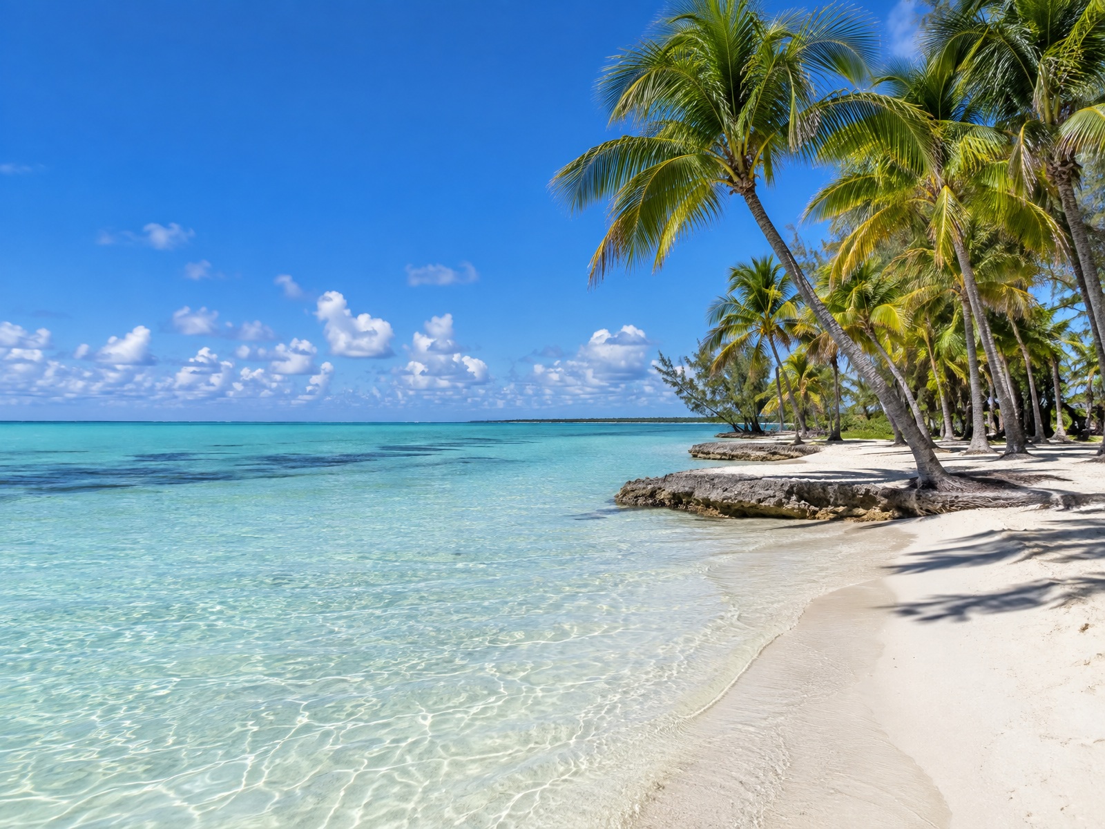 Rum Point
