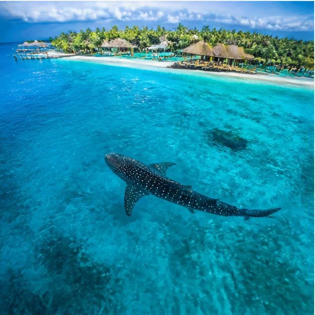 South Ari Atoll